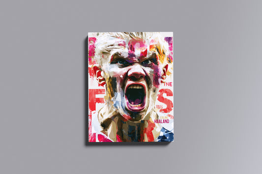 Painel: Erling Haaland