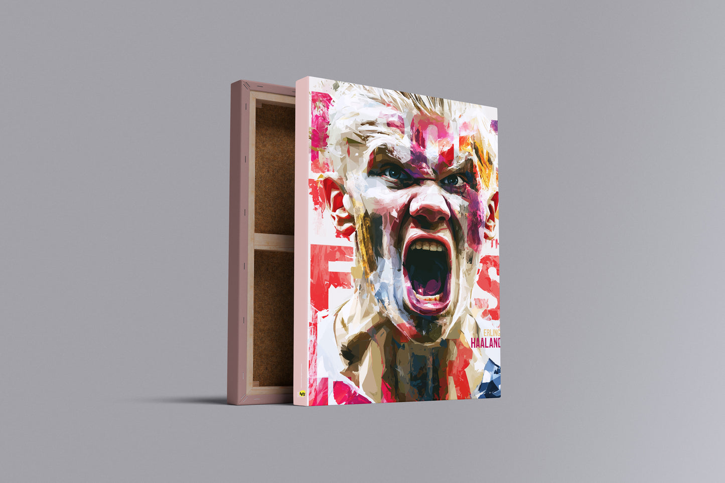 Painel: Erling Haaland